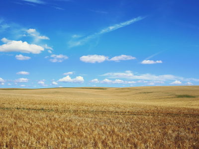 Doprovodný obrázek