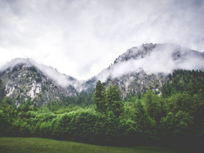 Doprovodný obrázek