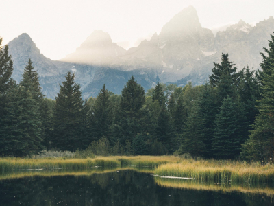 Doprovodný obrázek